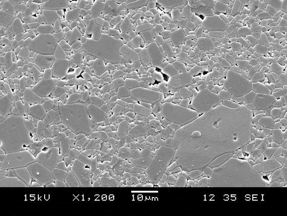 SEM (Scanning Electron Microscope) Photograph of 99.85% Semiconductor Grade Alumina Ceramic.